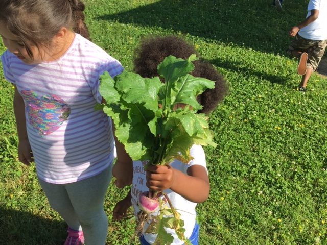 showing off vegetables from our garden