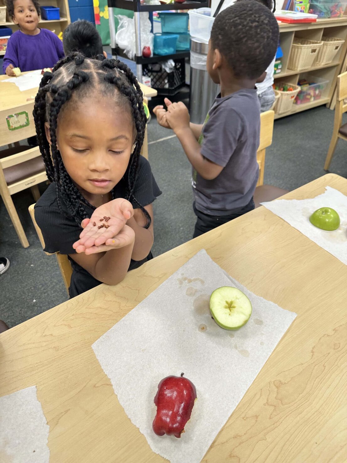 A teacher holds up her hand that has apple seeds in it.