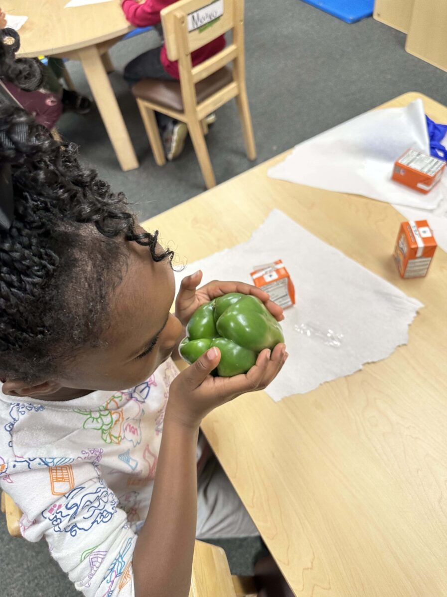 A student is holding and smelling the green bell pepper at the desk.